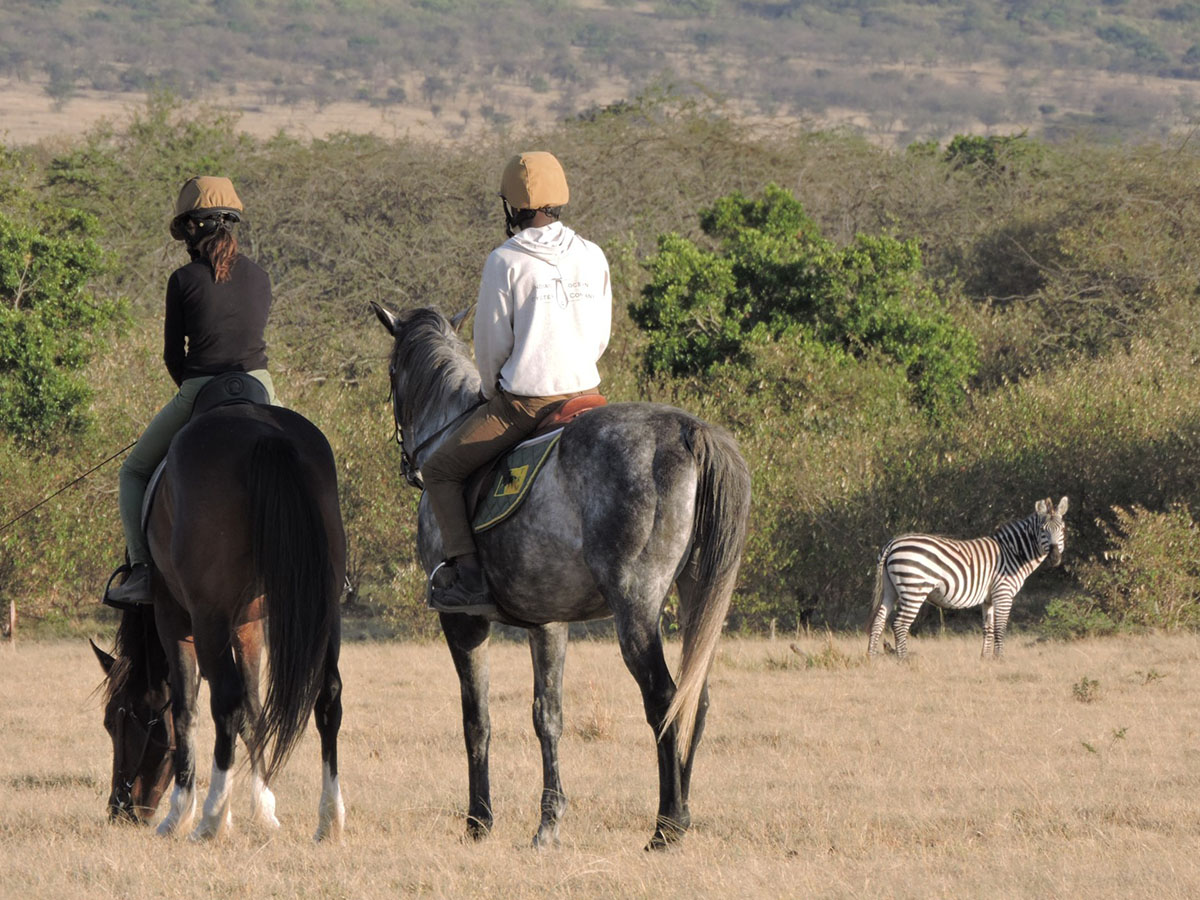 masai mara family safari